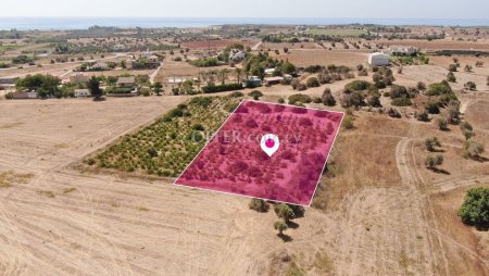 Residential Field in Mazotos Larnaca - 3