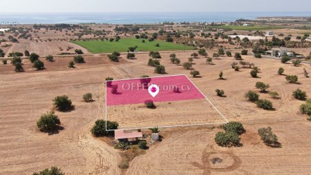 Share Residential Field in Mazotos Larnaca - 3