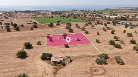 Share Touristic Field in Mazotos Larnaca - 3