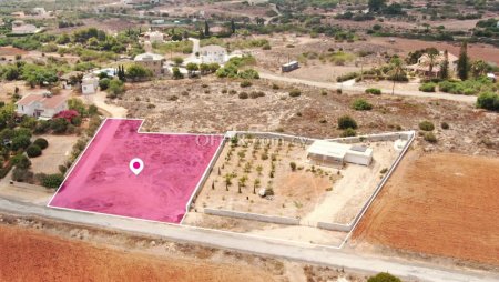 Share Field in Paralimni Ammochostos - 5