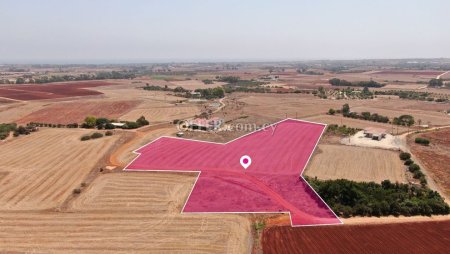 Agricultural Field in Xylofagou Larnaca - 3