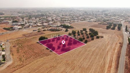 Residential Field in Avgorou Ammochostos - 3