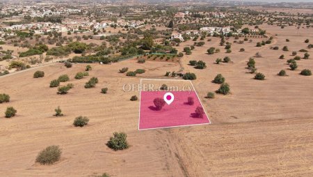 Share Touristic Field in Mazotos Larnaca - 2