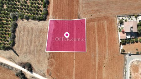 Residential field in Kokkinotrimithia Nicosia - 4