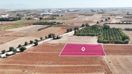 Residential field in Kokkinotrimithia Nicosia - 3