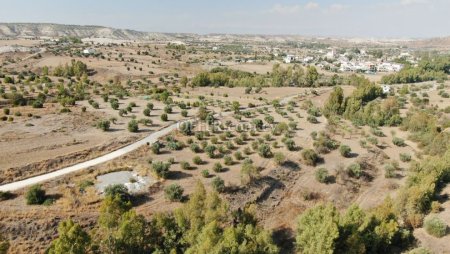 Agricultural Field in Analiontas Nicosia - 2