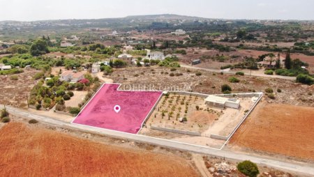 Share Field in Paralimni Ammochostos - 2