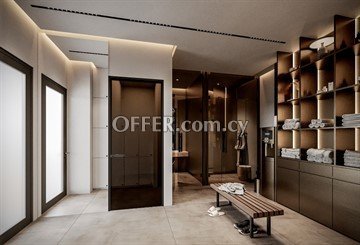 Luxury 2 Bedroom Apartment With 36 Sq.m. Roof Garden  In Leivadia, Lar - 2