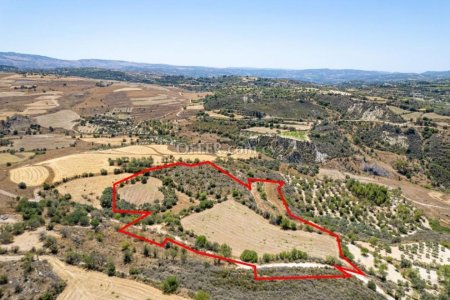 Agricultural Field in Thrinia Paphos - 1