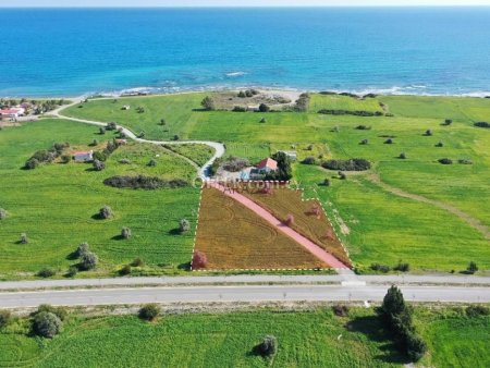 Field for Sale in Mazotos, Larnaca