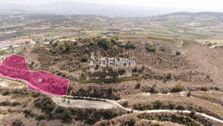 Agricultural Land For Sale in Stroumbi, Paphos - DP3859 - 3