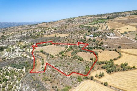 Agricultural Field in Thrinia Paphos - 2