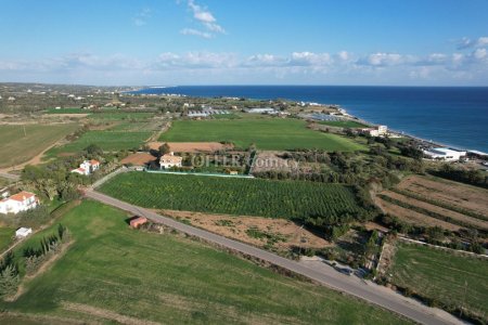 Sea view touristic development field in Agios Theodoros Larnaca - 3