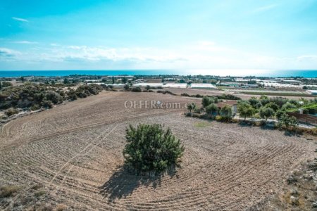 Field for Sale in Maroni, Larnaca - 7