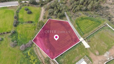 Field in Mosfiloti Larnaca
