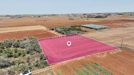 Residential field in Kokkinotrimithia Nicosia