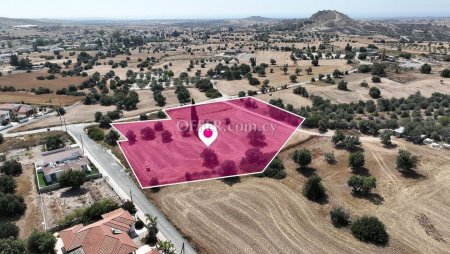 Field in Anglisides Larnaca