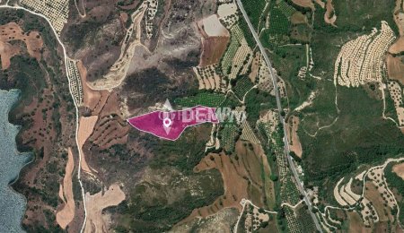 Agricultural Land For Sale in Kato Akourdaleia, Paphos - DP3 - 1