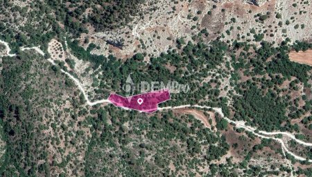 Agricultural Land For Sale in Amargeti, Paphos - DP3518 - 1