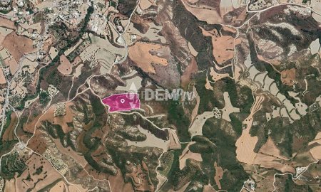 Agricultural Land For Sale in Steni, Paphos - DP3517 - 1