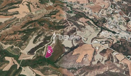 Agricultural Land For Sale in Steni, Paphos - DP3516 - Main Photo