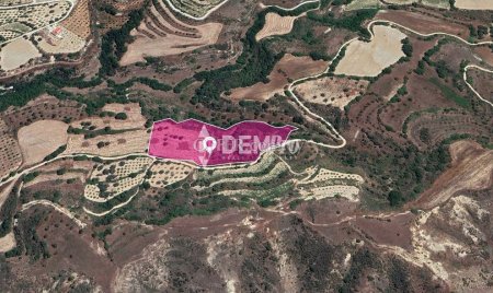 Agricultural Land For Sale in Giolou, Paphos - DP3515 - 1