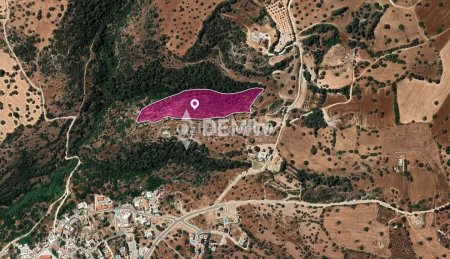 Agricultural Land For Sale in Neo Chorio, Paphos - DP3514 - Main Photo