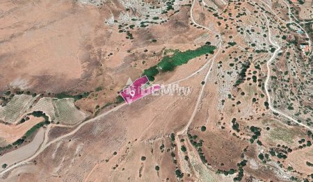 Agricultural Land For Sale in Agios Dimitrianos, Paphos - DP - 1