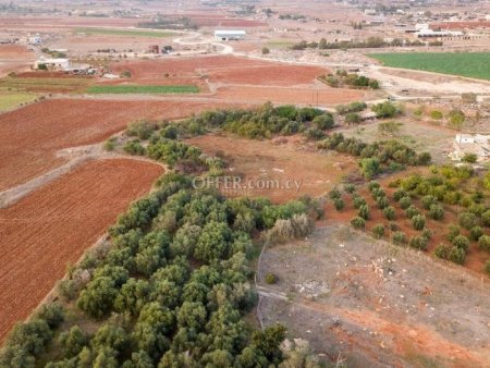 Agricultural field in Frenaros