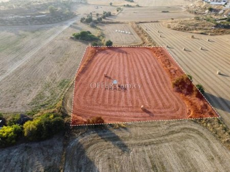 Field for Sale in Tersefanou, Larnaca