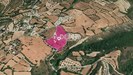Agricultural Land For Sale in Kato Akourdaleia, Paphos - DP3 - 3