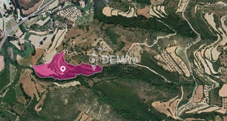 Agricultural Land For Sale in Loukrounou, Paphos - DP3522 - 3