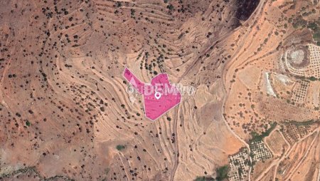 Agricultural Land For Sale in Statos-Agios Fotios, Paphos -  - 3