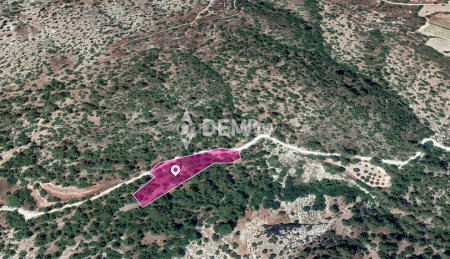 Agricultural Land For Sale in Amargeti, Paphos - DP3518 - 3