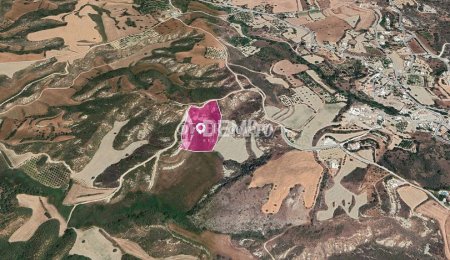 Agricultural Land For Sale in Steni, Paphos - DP3517 - 3