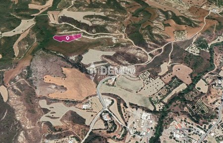 Agricultural Land For Sale in Steni, Paphos - DP3516 - 3