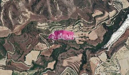 Agricultural Land For Sale in Giolou, Paphos - DP3515 - 3