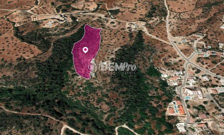 Agricultural Land For Sale in Neo Chorio, Paphos - DP3514 - 3