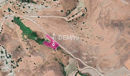 Agricultural Land For Sale in Agios Dimitrianos, Paphos - DP - 3