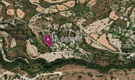 Agricultural Land For Sale in Kritou Tera, Paphos - DP3511 - 3