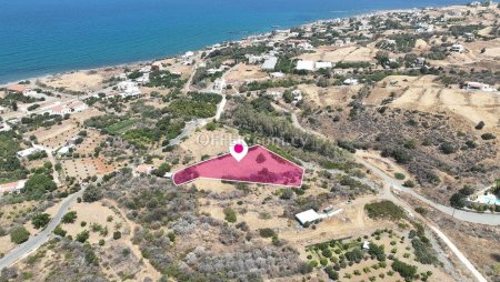 Residential Field in Pomos Paphos. - 3