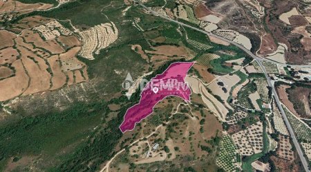 Agricultural Land For Sale in Loukrounou, Paphos - DP3522 - 2