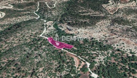 Agricultural Land For Sale in Amargeti, Paphos - DP3518 - 2
