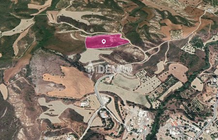 Agricultural Land For Sale in Steni, Paphos - DP3517 - 2