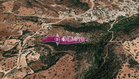 Agricultural Land For Sale in Neo Chorio, Paphos - DP3514 - 2