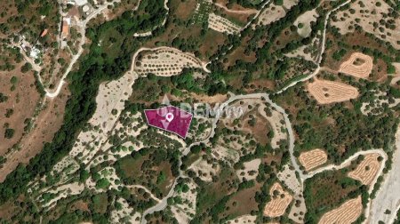 Agricultural Land For Sale in Kritou Tera, Paphos - DP3511 - 2