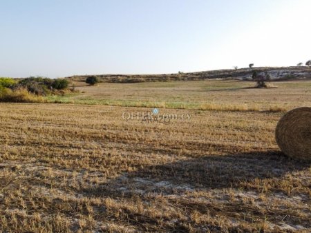 Field for Sale in Tersefanou, Larnaca - 3