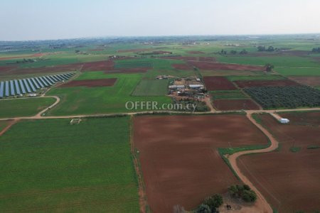 Agricultural field in Avgorou Famagusta - 3