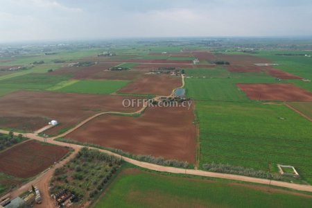 Agricultural field in Avgorou Famagusta - 2