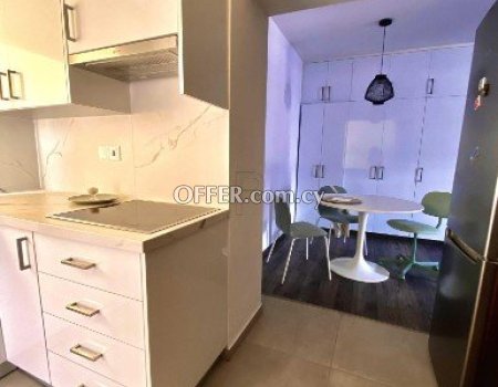 3 Bedroom Apartment for Rent Nicosia Center Cyprus - 3